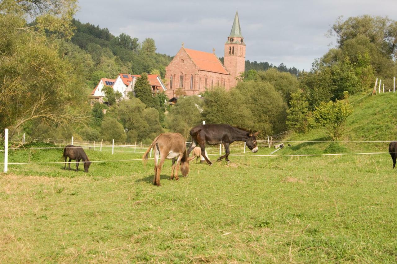 Ferienwohnung Spreter Zimmern ob Rottweil Luaran gambar